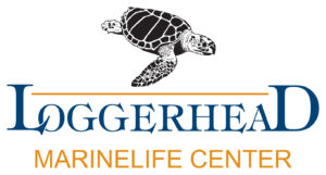 Loggerhead Marinelife Center